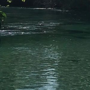 Meet your Posher, Bella